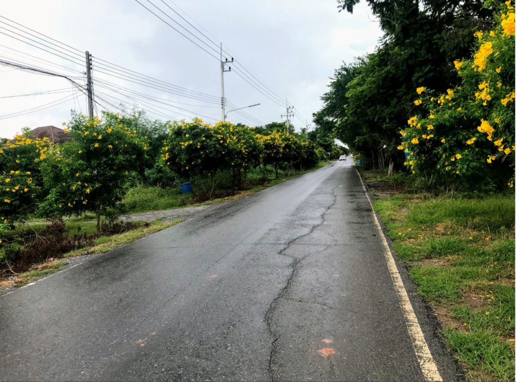 A scanty lane to Jesada Technik Museum, Jesada Technik Museum