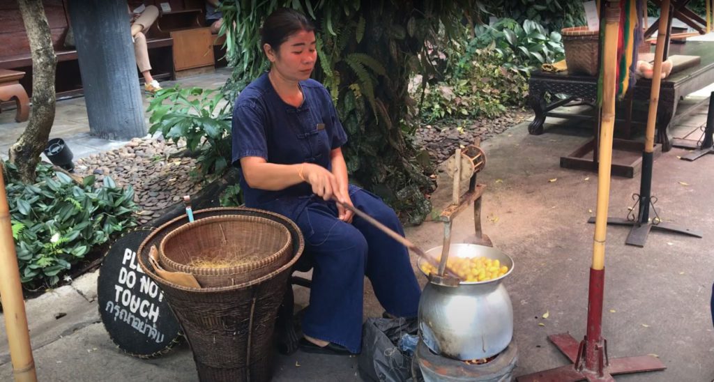 A weaver harvesting silk out of silkworms