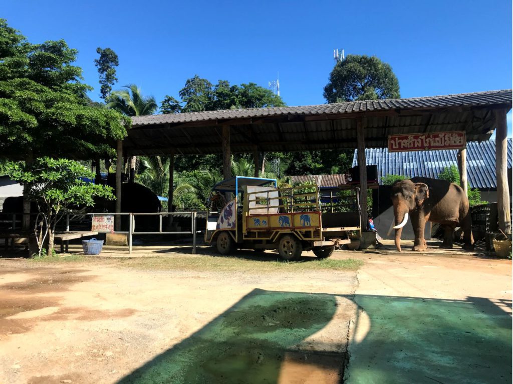 Elephant Camp for tourists in Koh Chang