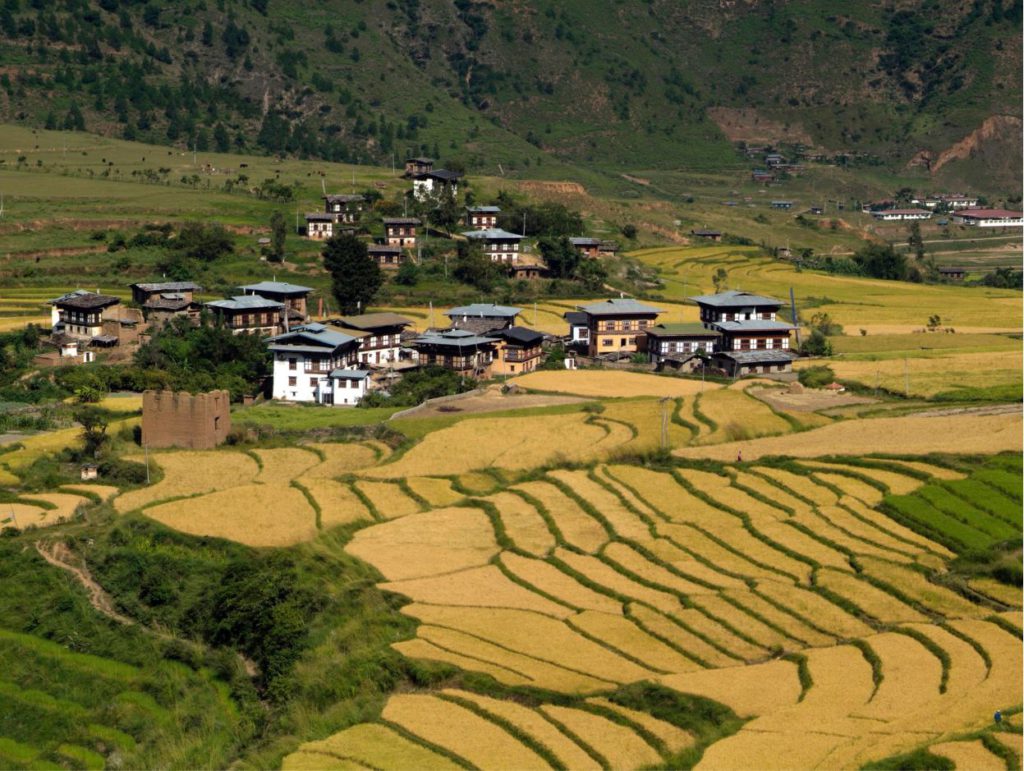 Countryside around Punakha