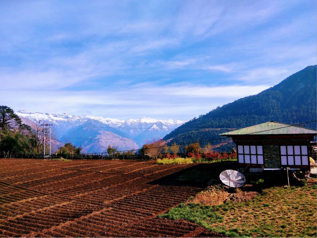 Countryside from Punakha to Phobjikha