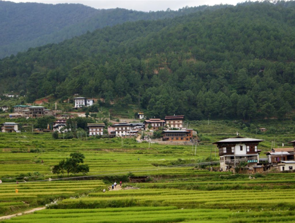 Local settlements in Punakha