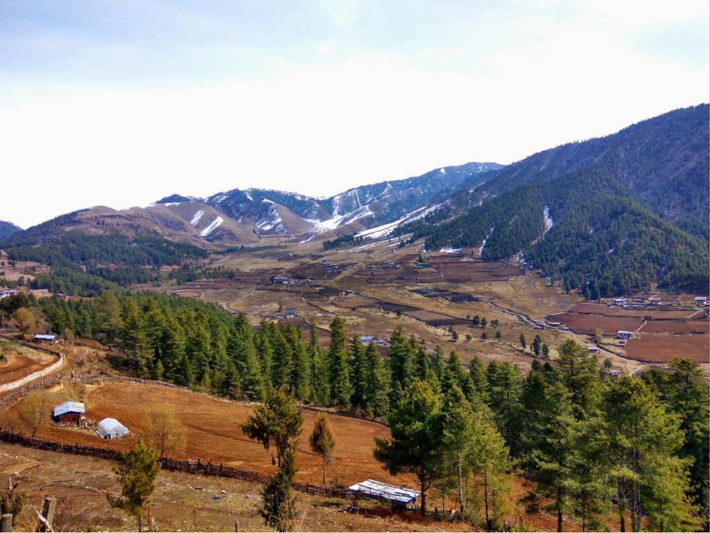 Phobjikha Valley view