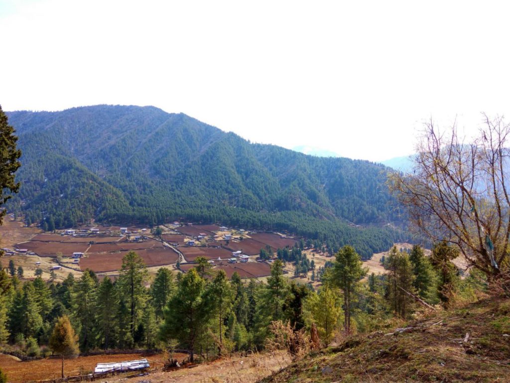 Phobjikha valley view_2