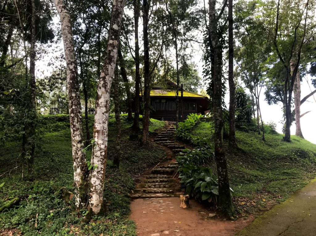 Bungalows with a view in Doi Phu Kha National Park