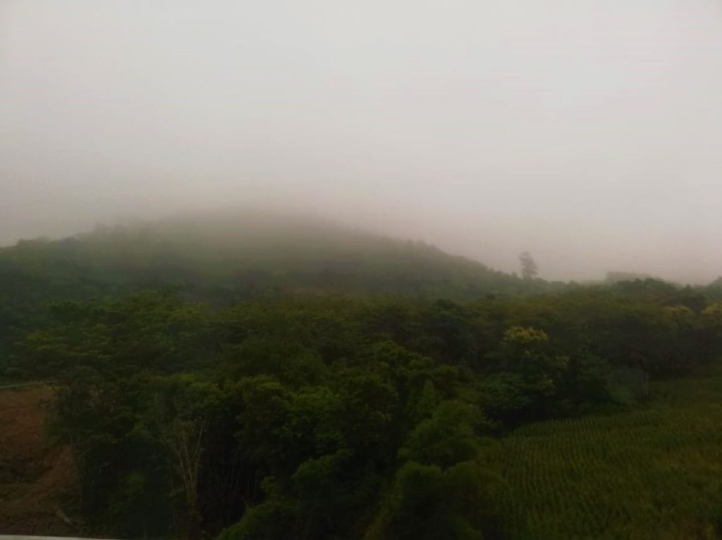 Hills covered in mist during monsoons in Nan