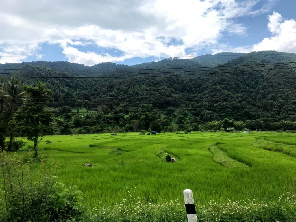 Paddy fields around Nan with hills in the background