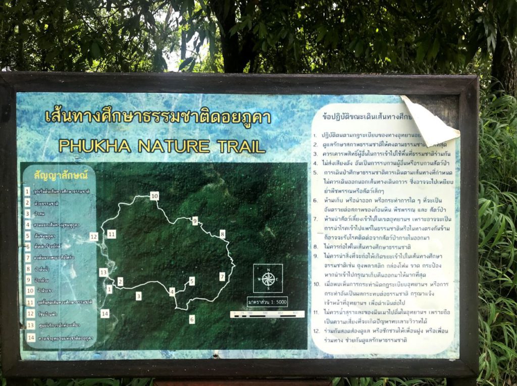 Phukha Nature Trail, Doi Phu Kha National Park