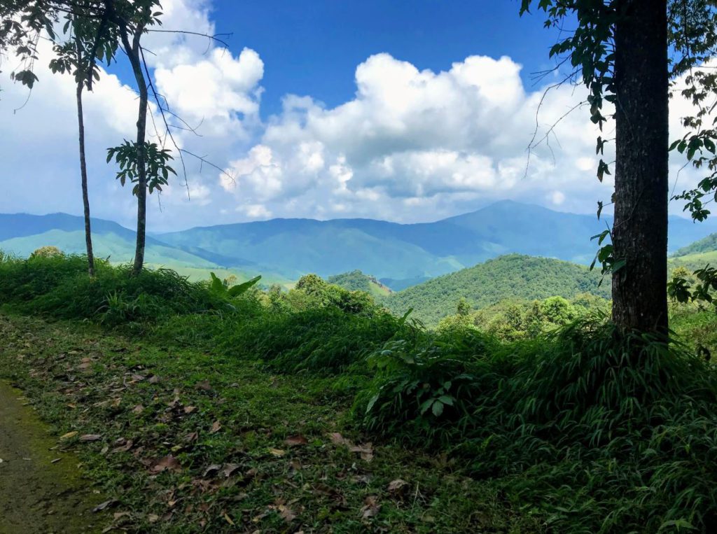 View from Doi Phukha National Park