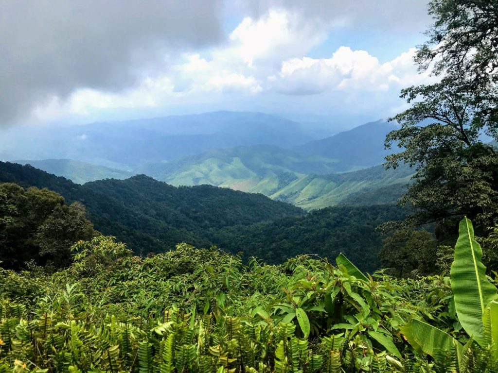 Views along the ride, Doi Phu Kha National Park