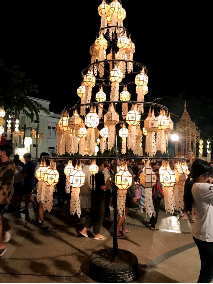A Lantern tree Chiang Mai
