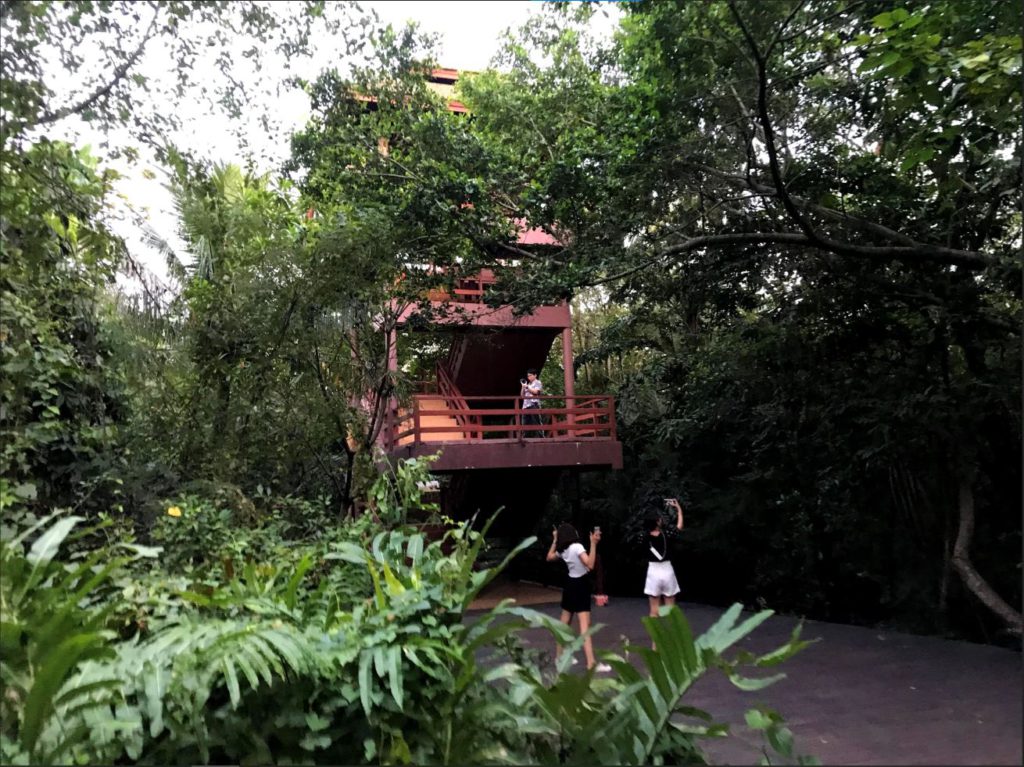 Bird watching tower inside the park, Bang Kachao