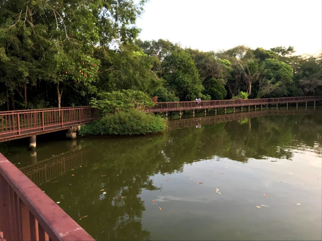 Boardwalk inside the park, Bang Kachao