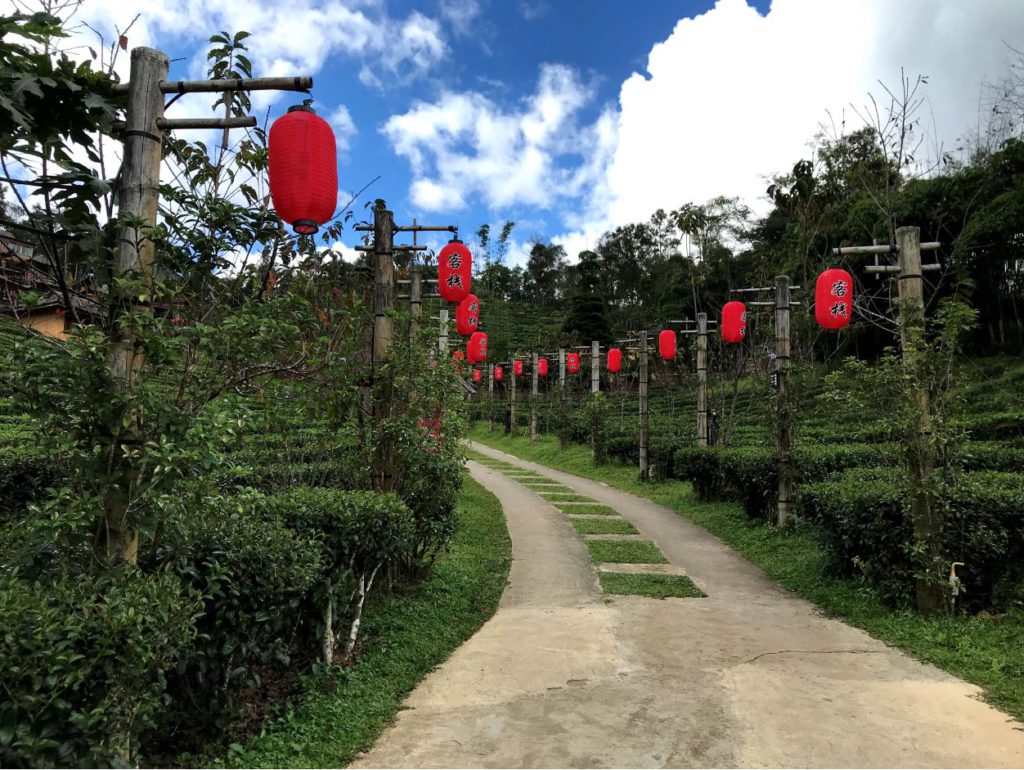 Chinese lanterns inside Lee Wine resort, Ban Rak Thai