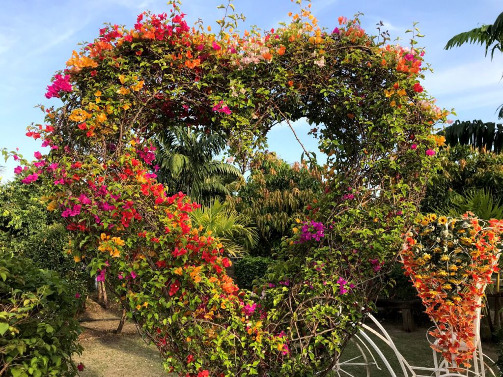 Gardens with blooming flowers, Bang Kachao