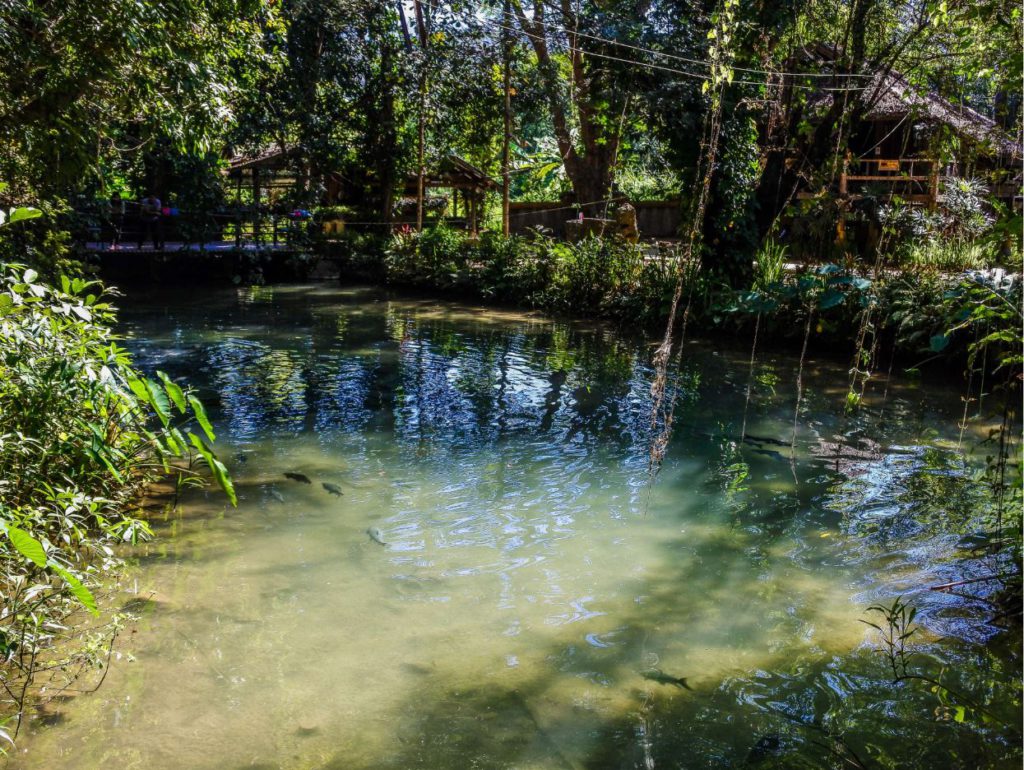 Inside Tham Pla cave national park