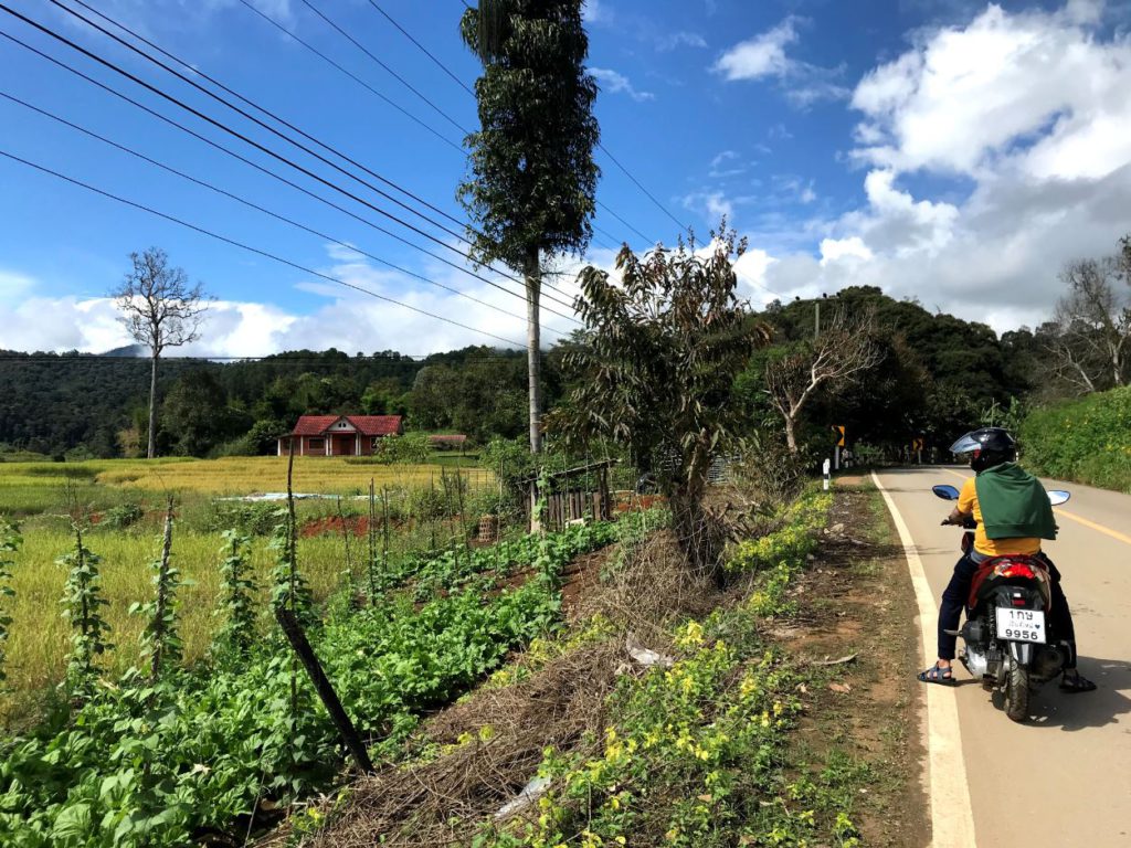 Mae Hong Son Loop roadtrip