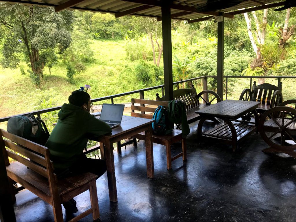 Working remotely in the jungles