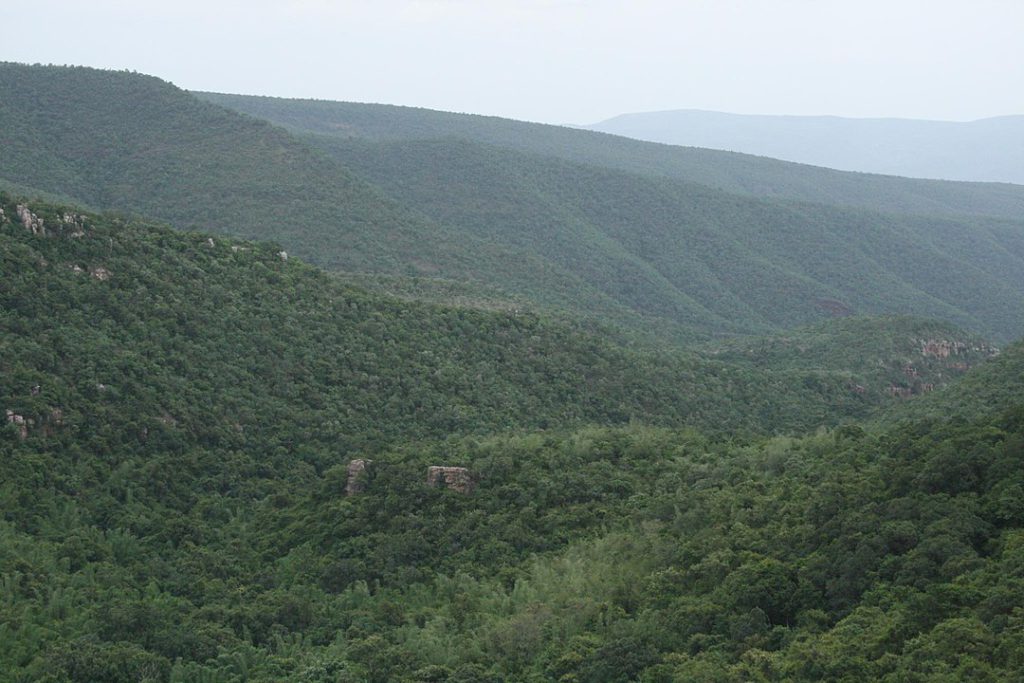 Sri Venkateswara National Park