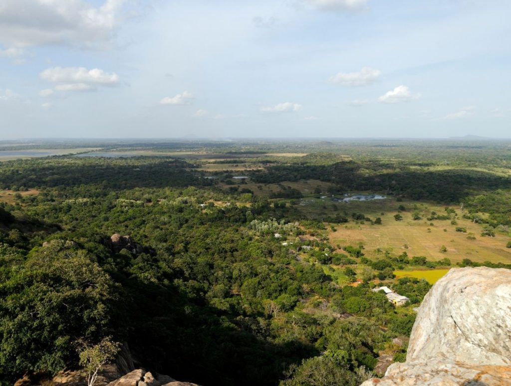 View from the top of the mountain, Anuradhapura