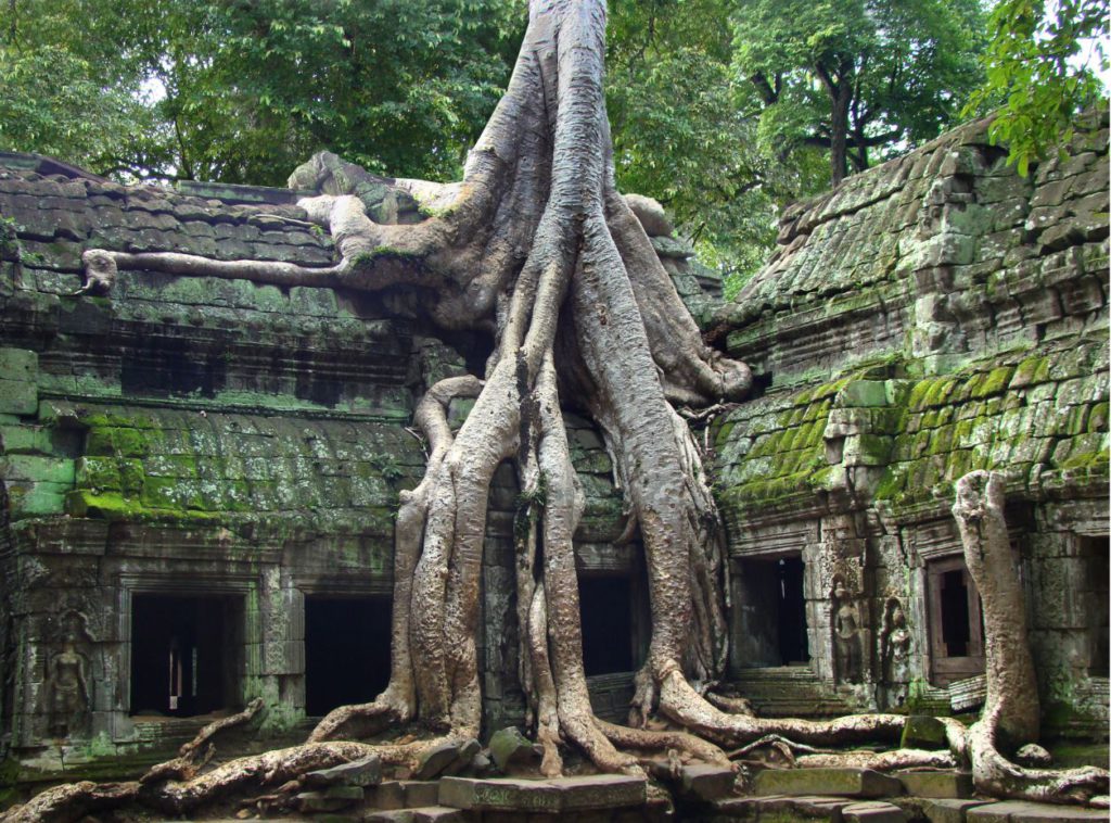 Temples of Angkor Wat, Cambodia