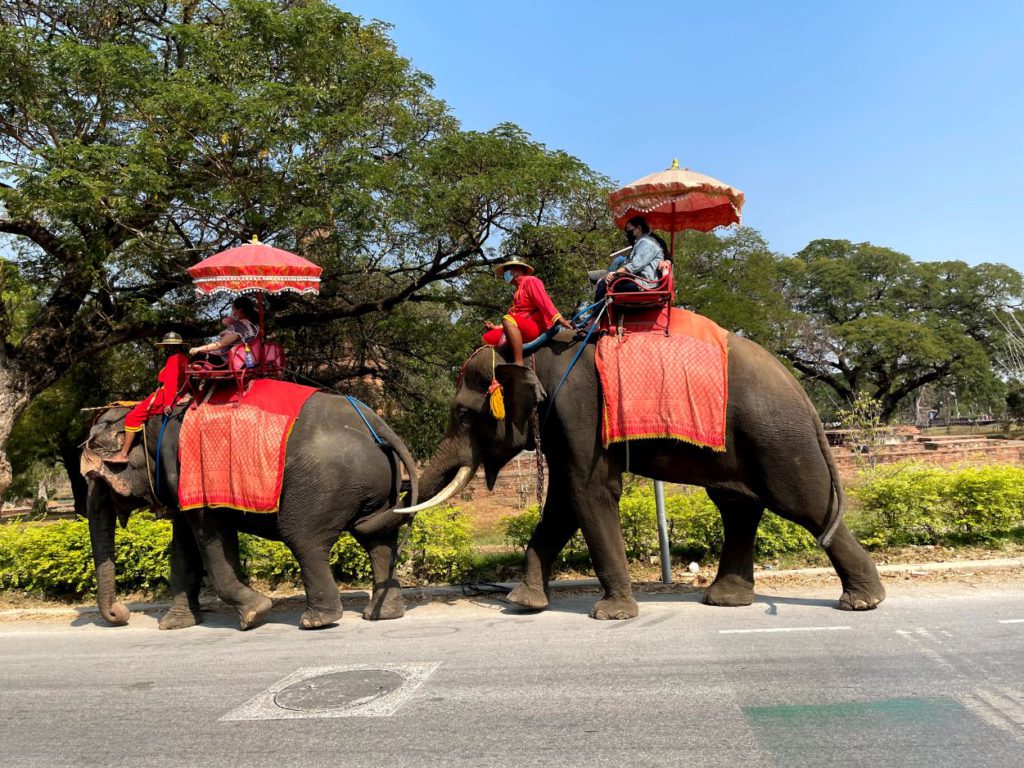 Elephant ride in Ayutthaya