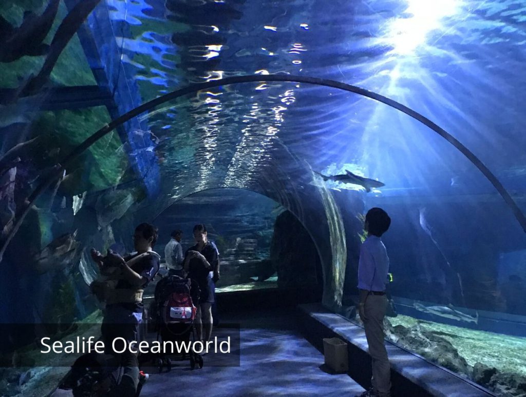 Sealife Oceanworld