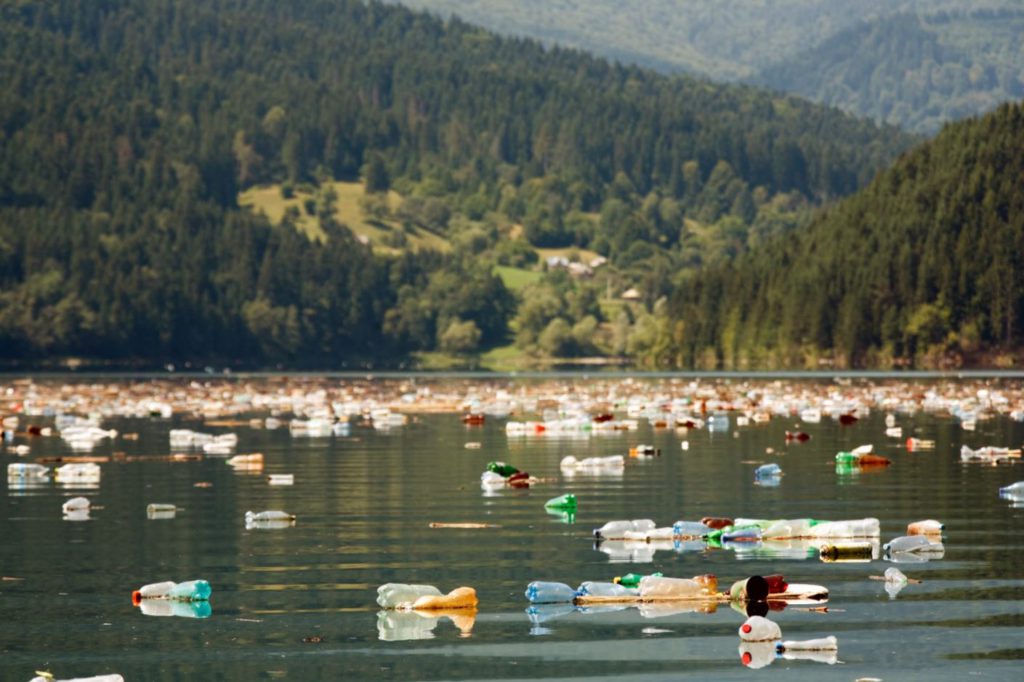 A waterbody filled with plastic bottles