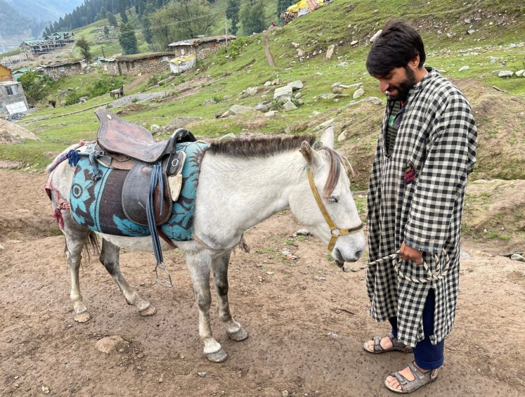 Locals offering ponies for rides