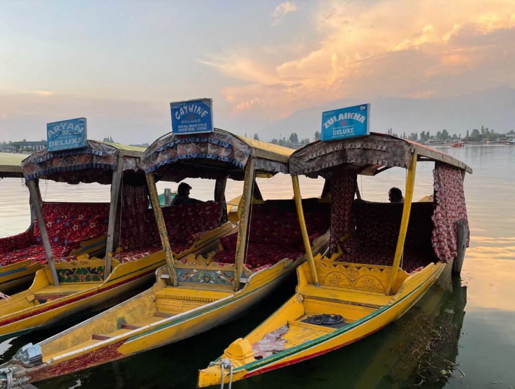 Shikara boats on Dal Lake in Srinagar