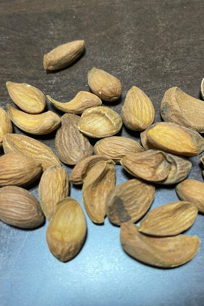 Mamra Almond