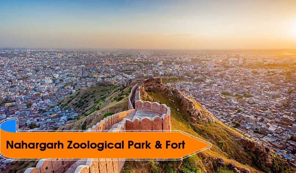 Nahargarh-Zoological-Park-&-Fort