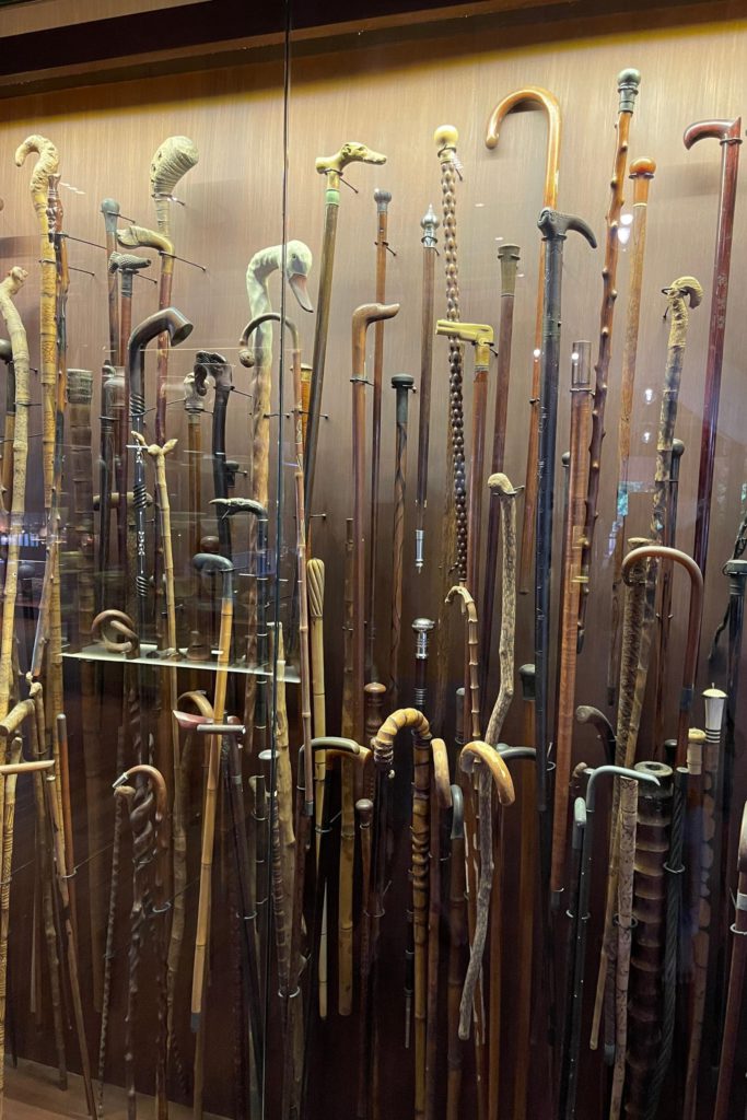 A Display of Walking Sticks