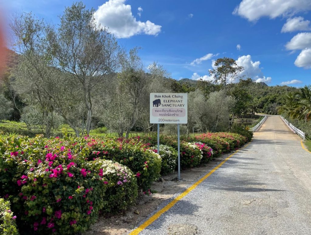 Entering the vineyard