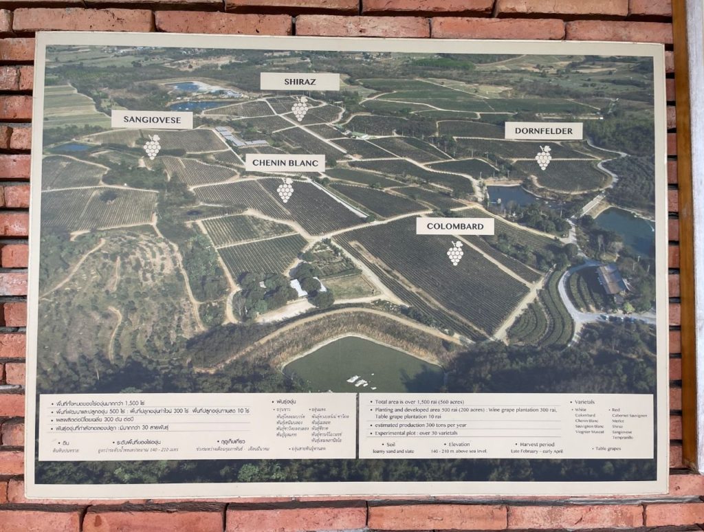 Map of the plantation, Monsoon Valley Vineyard