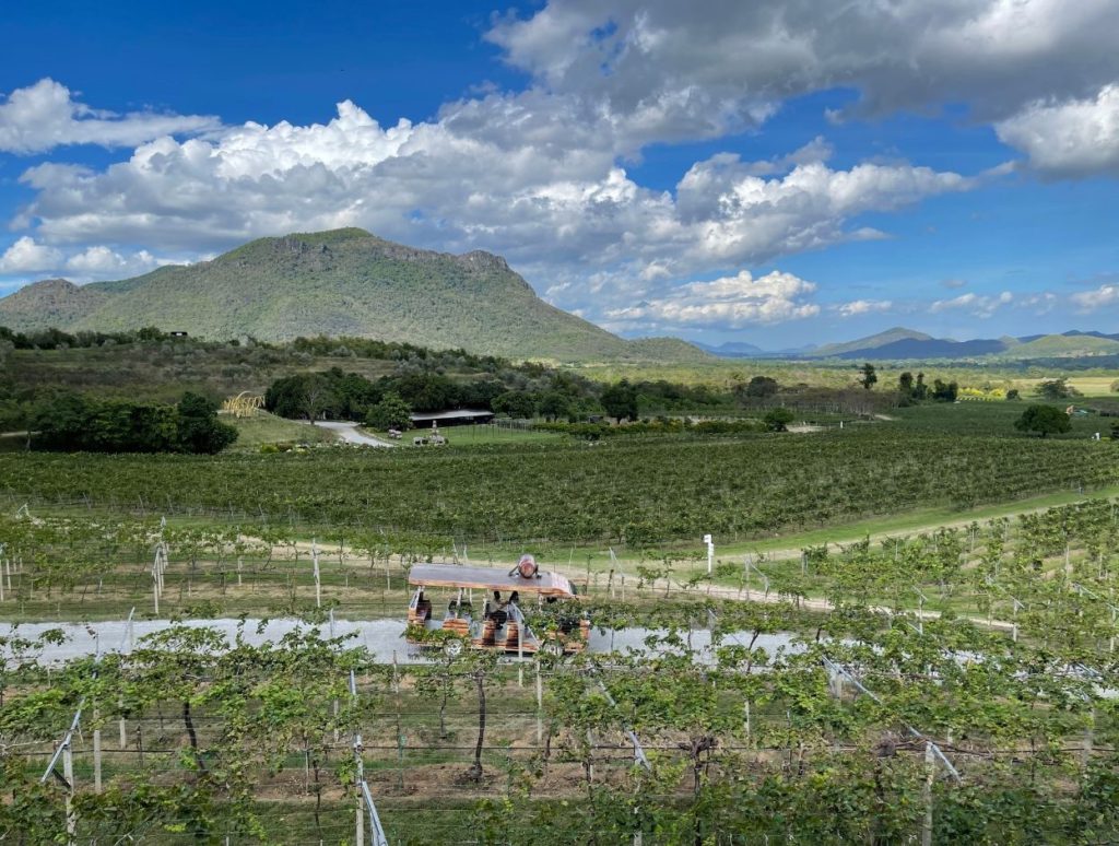 Monsoon Valley Vineyard