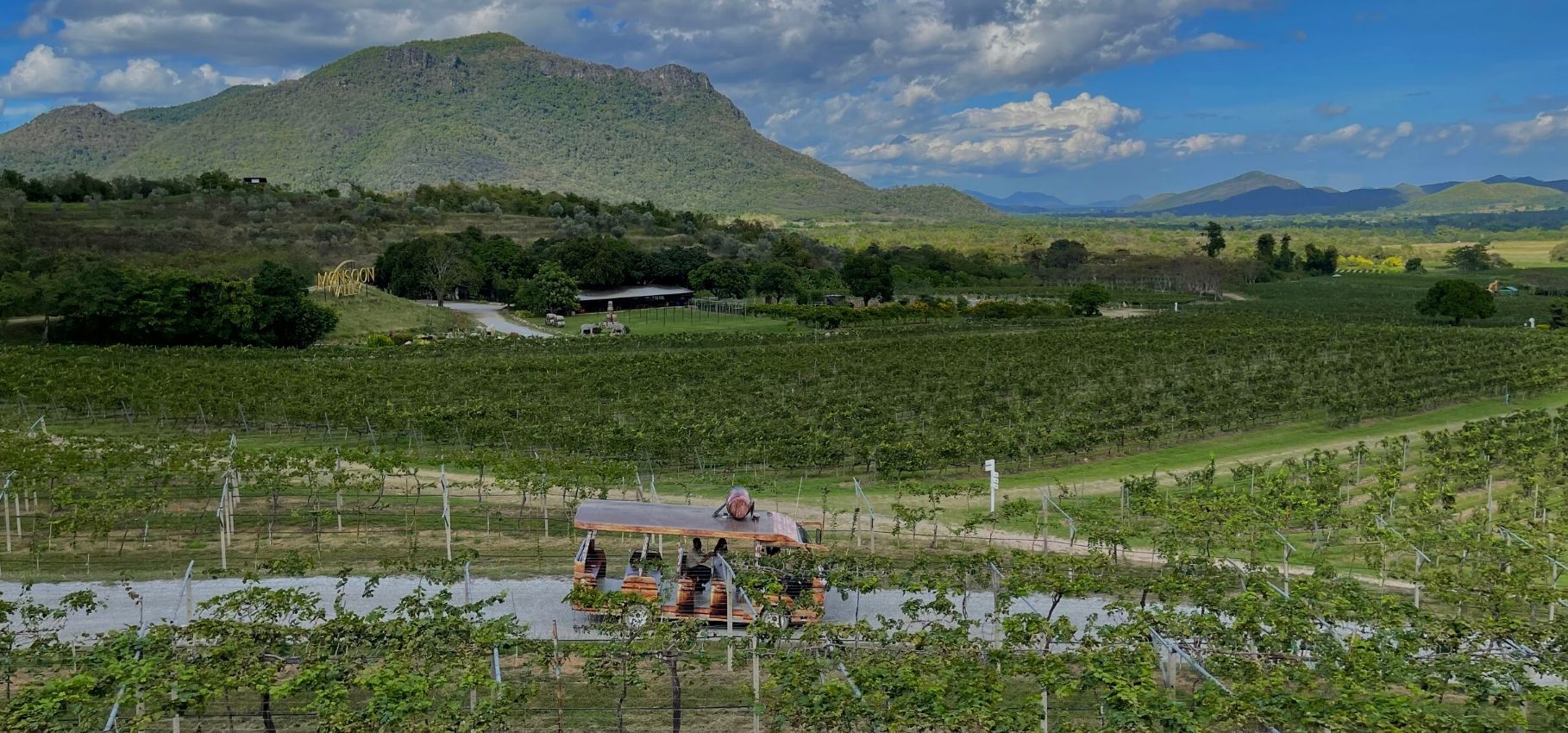 Monsoon Valley Vineyard Feature