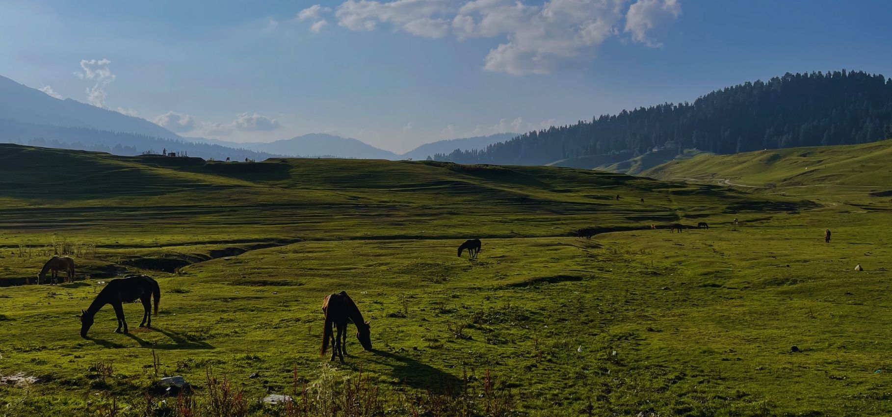 Places to visit in Gulmarg, Kashmir