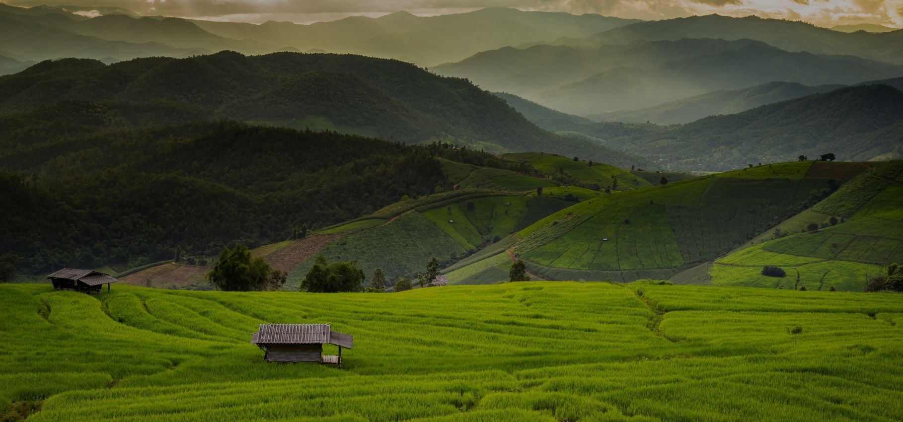 Visiting Doi Inthanon National Park