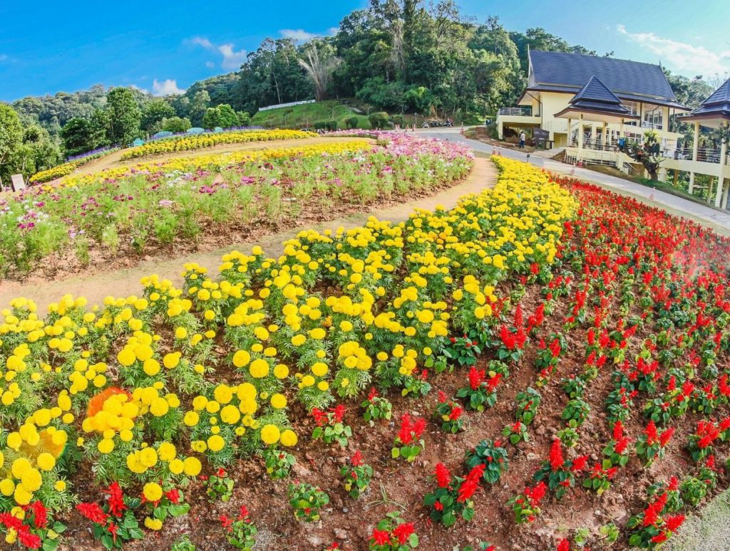 Flower beds at Queen Sirikit Botanical Gardens