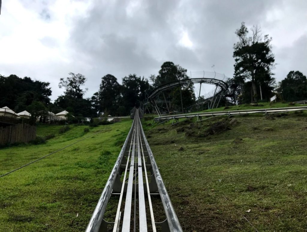 Pongyang Jungle Coaster