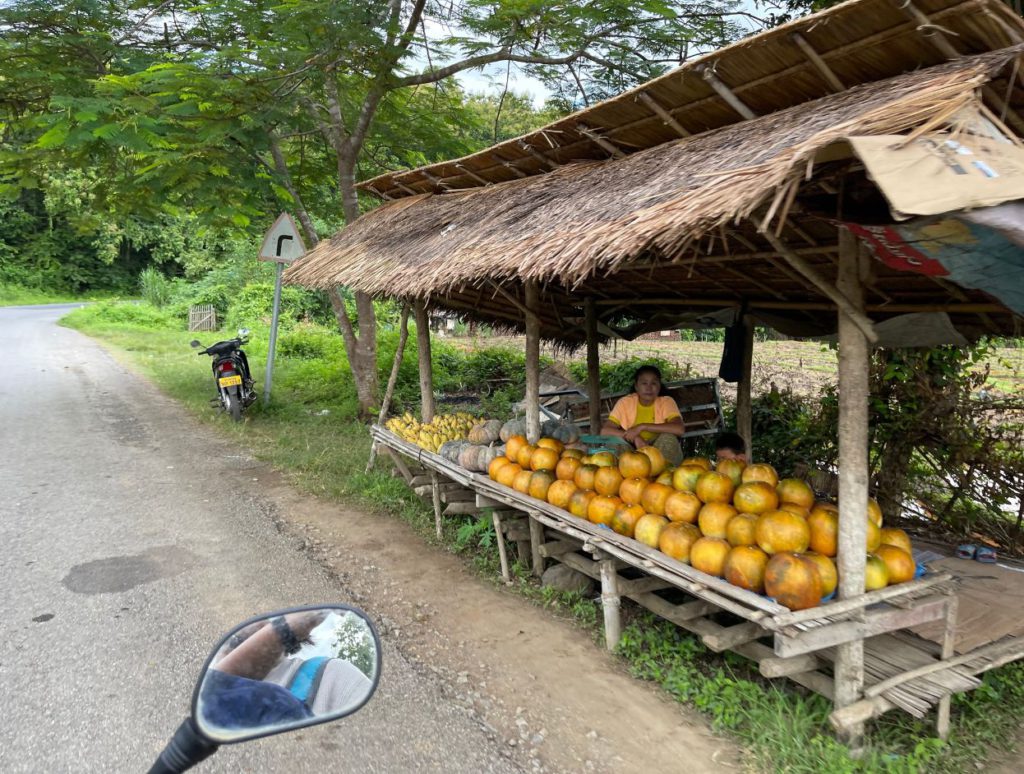 Great stop for some fruits on the way