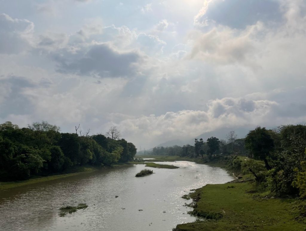 A scenery from Kaziranga after fresh rains