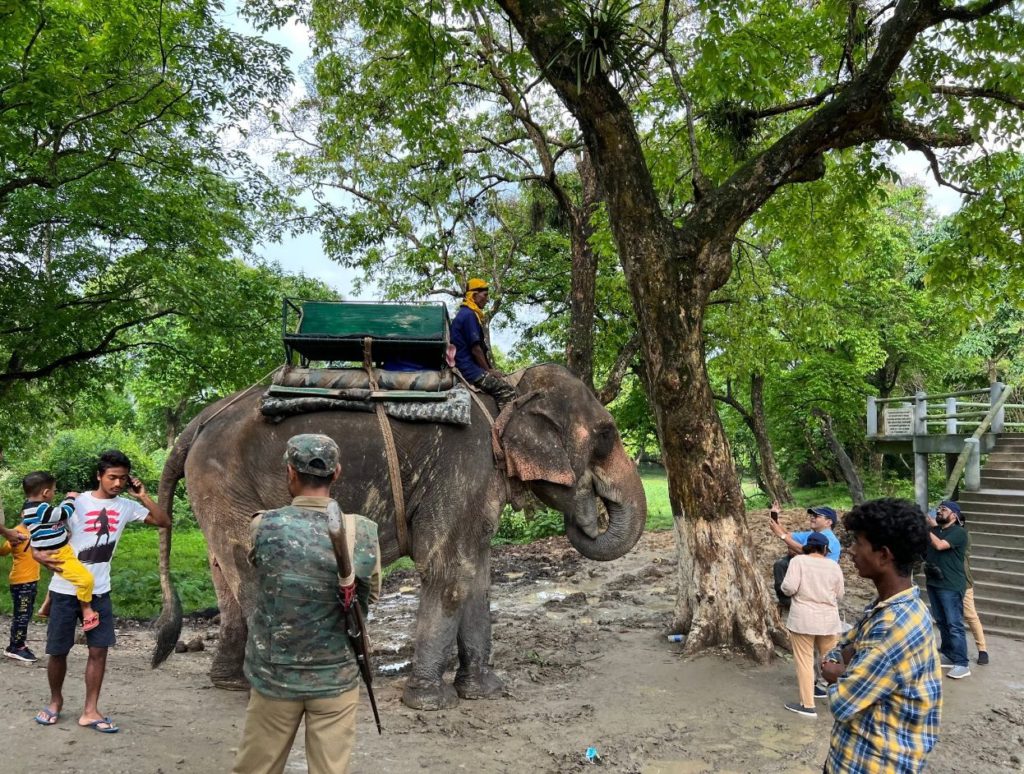 Elephant Safari in Kaziranga