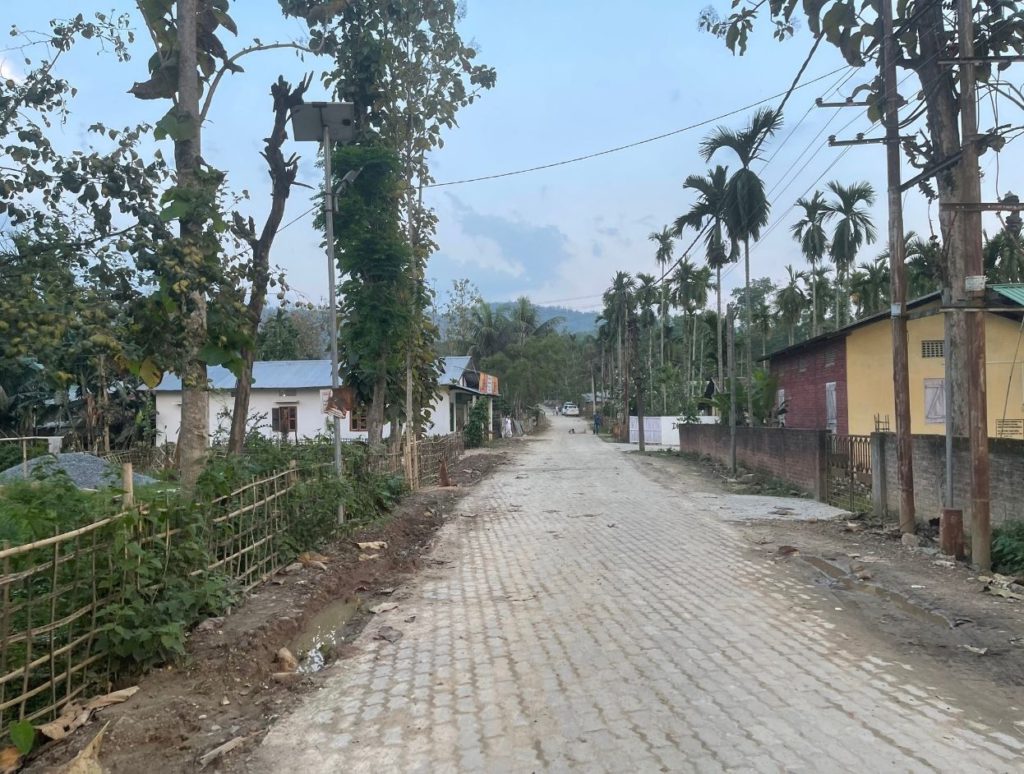 Just an ordinary view of the villages inside Kaziranga