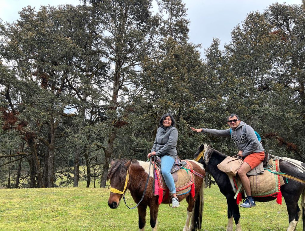 Pony ride in Auli