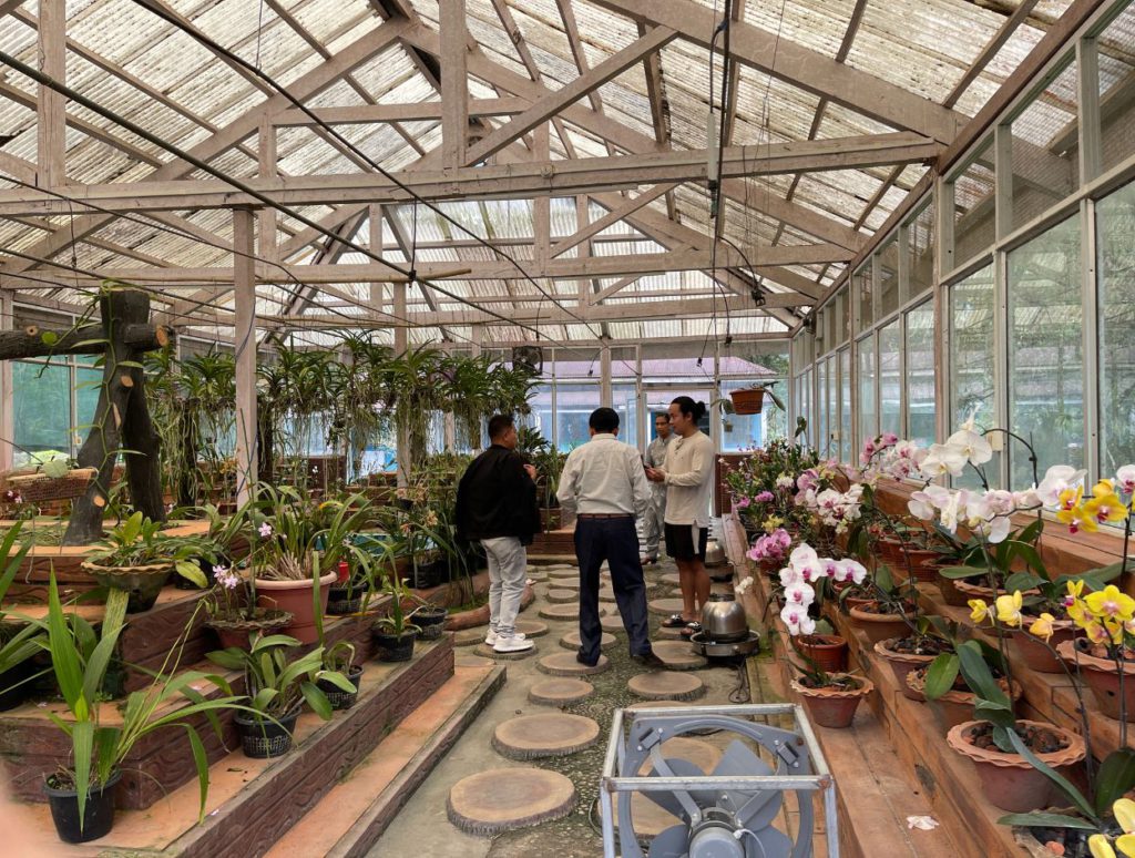 Sessa Orchid Sanctuary