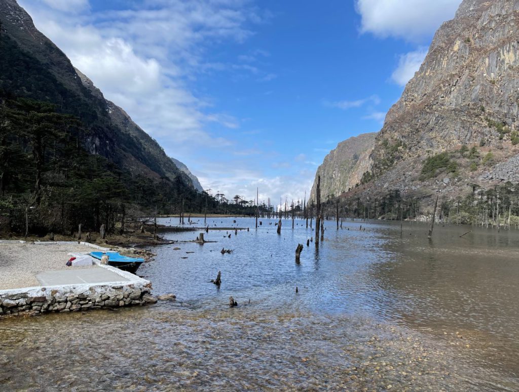 Trees popping out of the water at Sangetsar Lake