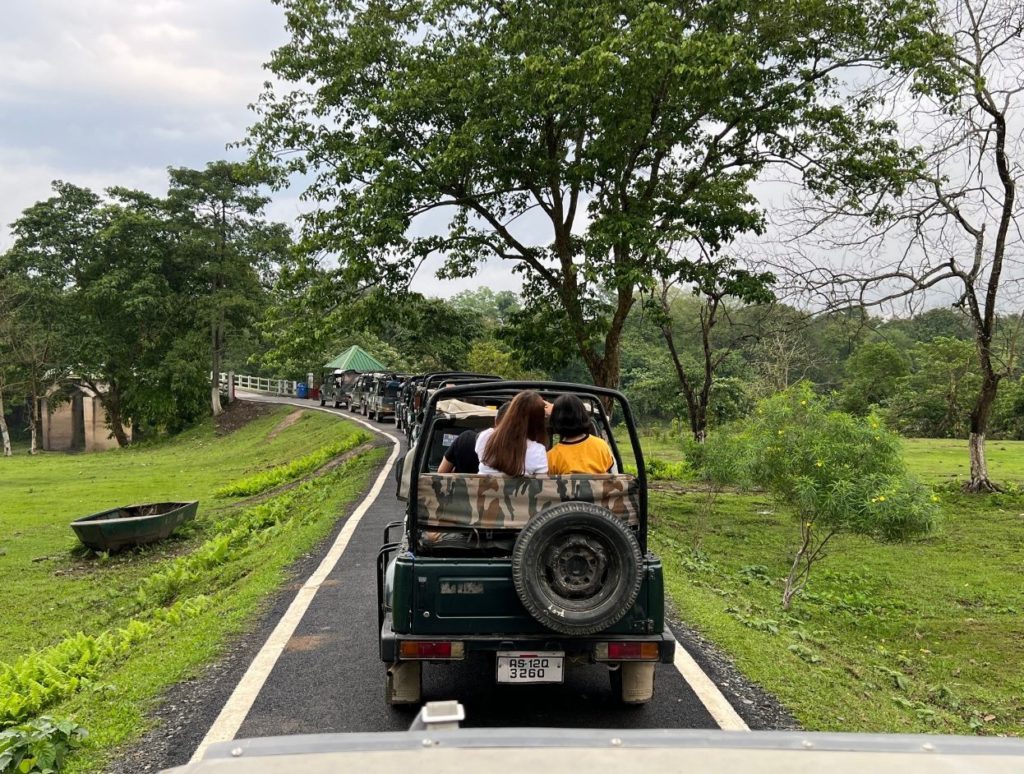 Waiting for our turn in morning safari