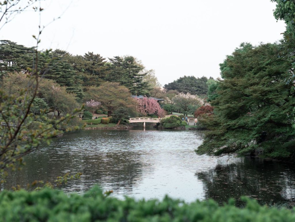 Shinjuku Gyoen National Garden